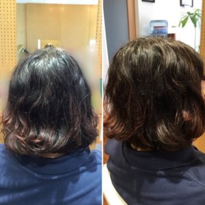 ライオン丸のような髪型からの脱出 千代田区 市ヶ谷の髪質改善専門 ヘアエステ専門美容室オノフ