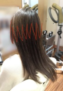 表面の髪の毛を短くされてしまいました 千代田区 市ヶ谷の髪質改善専門 ヘアエステ専門美容室オノフ